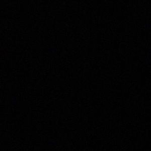 Meet your Posher, Javin